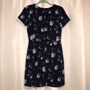 Club Monaco Dress with pockets
